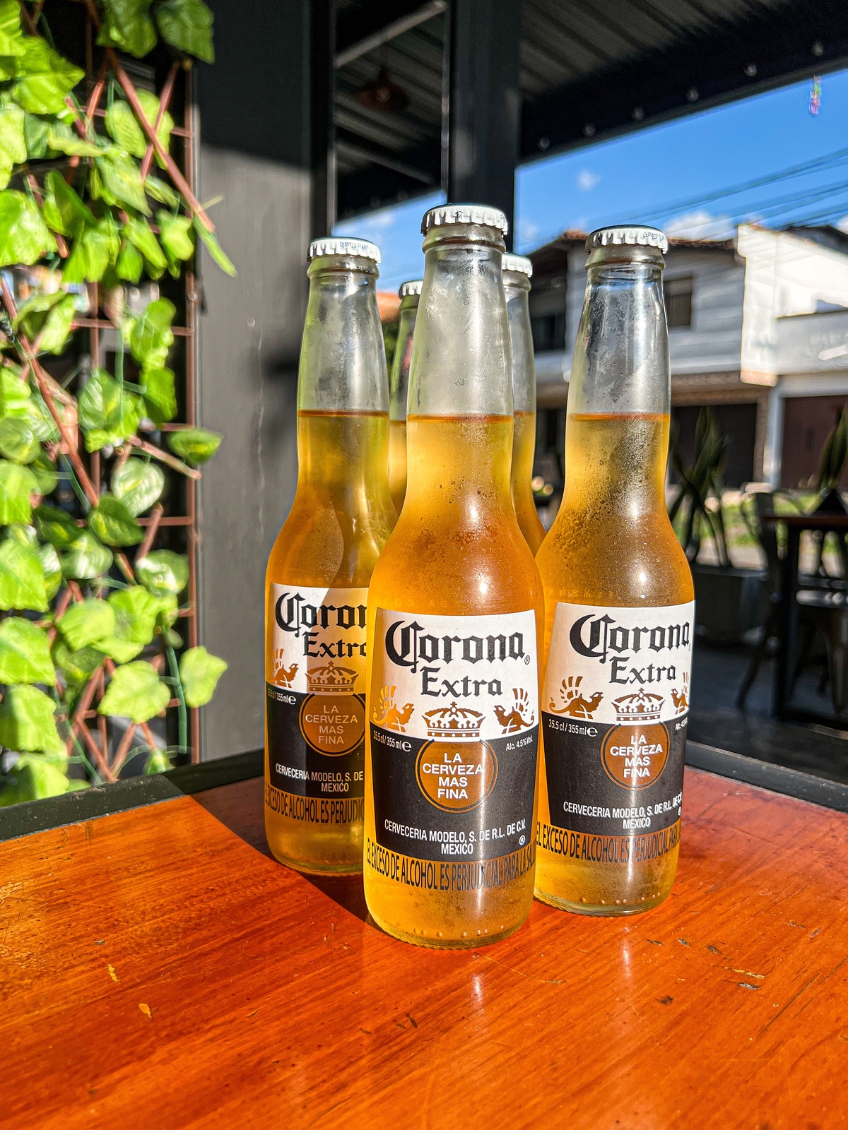 Cerveza Corona